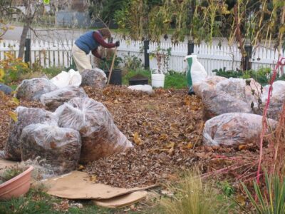 Lasagna Garden In Front Yard